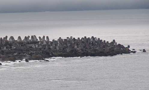 [Small conical shaped pieces of concrete cover nearly all the edges of the rock thrust out into the harbor.]